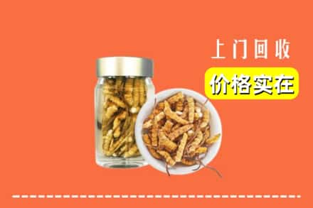 收购资讯:惠州市惠阳回收散虫草