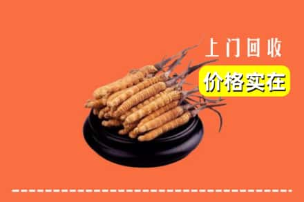 惠州市惠阳回收冬虫夏草
