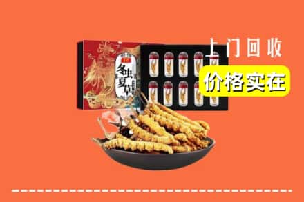 惠州市惠阳回收虫草